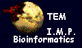TEM at IMP-Bioinformatics