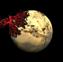 Tumor Angiogenesis